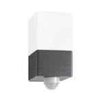 Außenwandleuchte Linus, grafit, Sensor, Edelstahl, Glas, E27