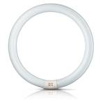 G10q 22W 840 fluorescent ring Master Circular TL-E