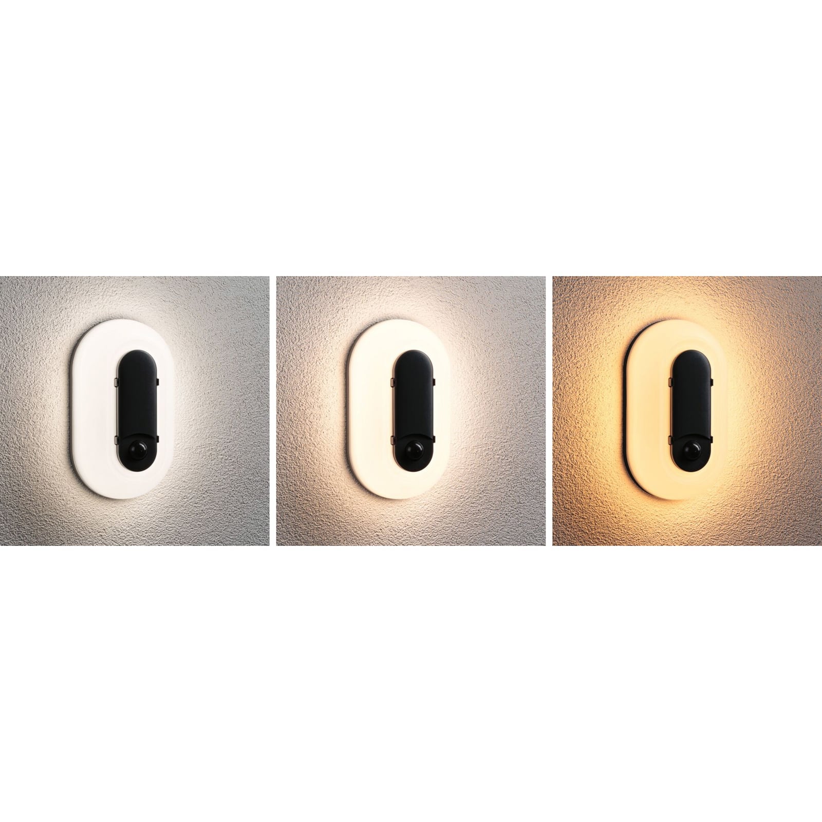Paulmann LED sienas lampa „Elunor“, antracīta krāsā, ar sensoru, augstums 21
