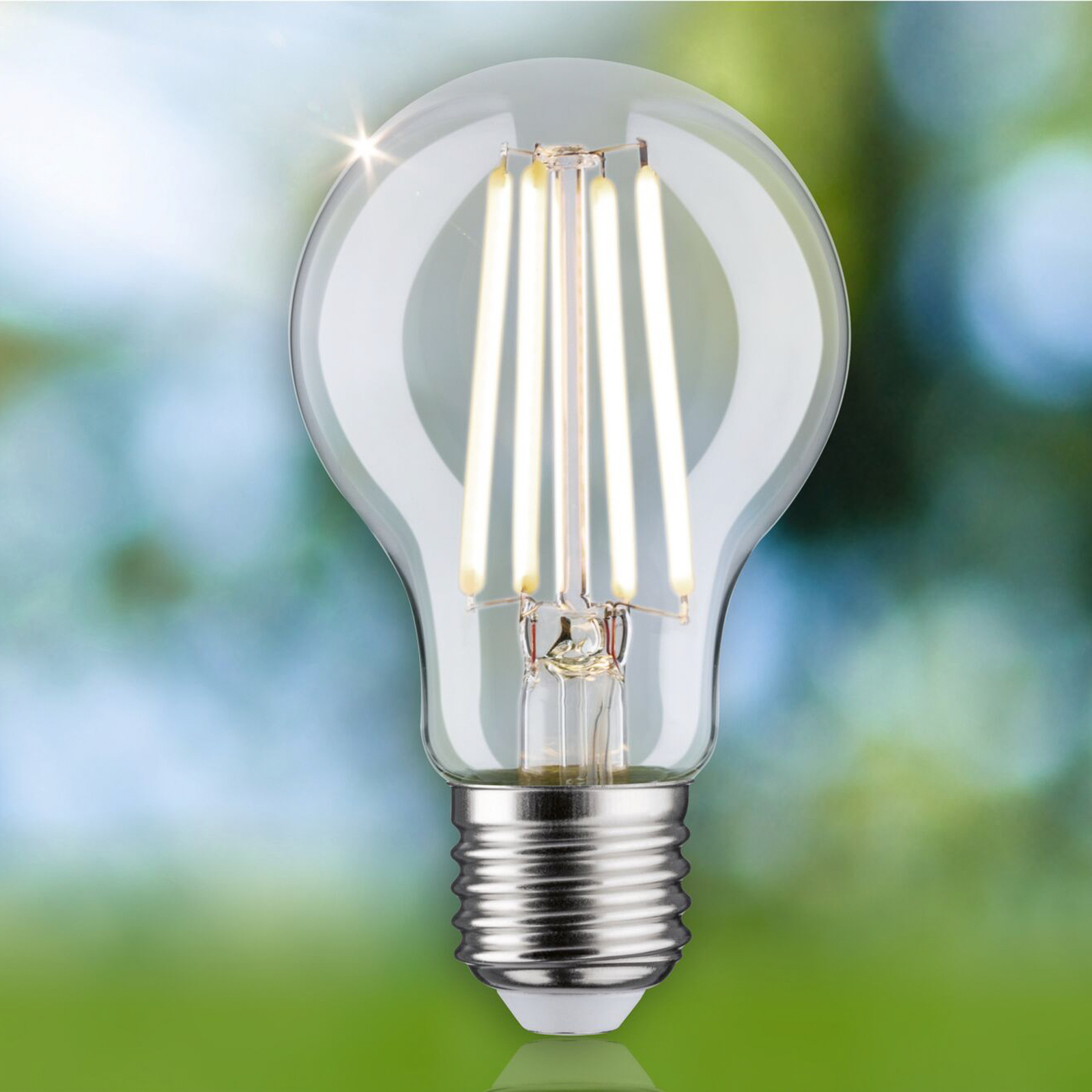 Paulmann Eco-Line LED-Lampe E27 2,5W 525lm 4.000K
