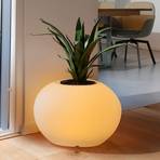 Dekorativní lampa Storus VII LED RGBW, bílá barva pro výsadbu