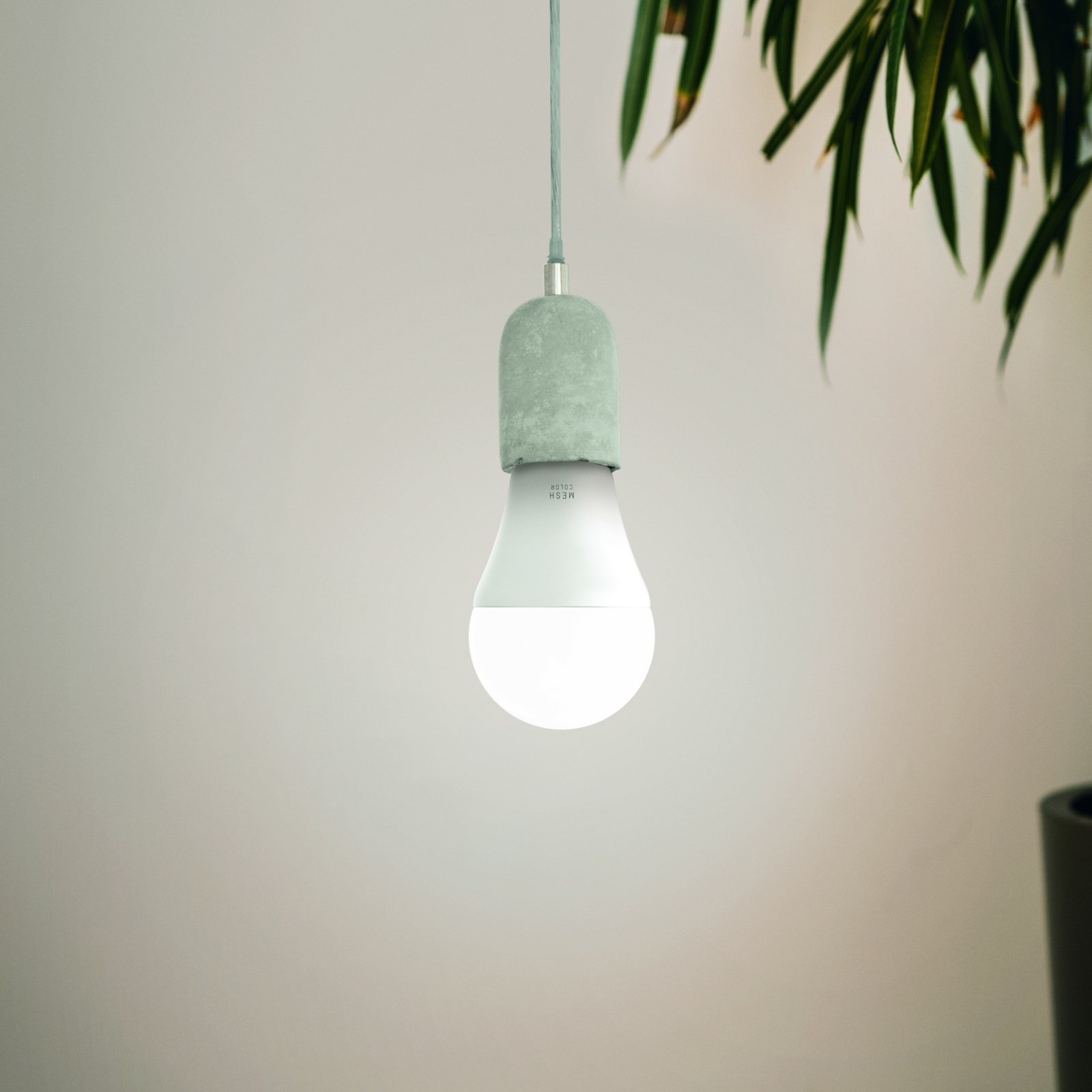 EGLO connect-z E27 A60 Ampoule LED 9W 806lm RGBW