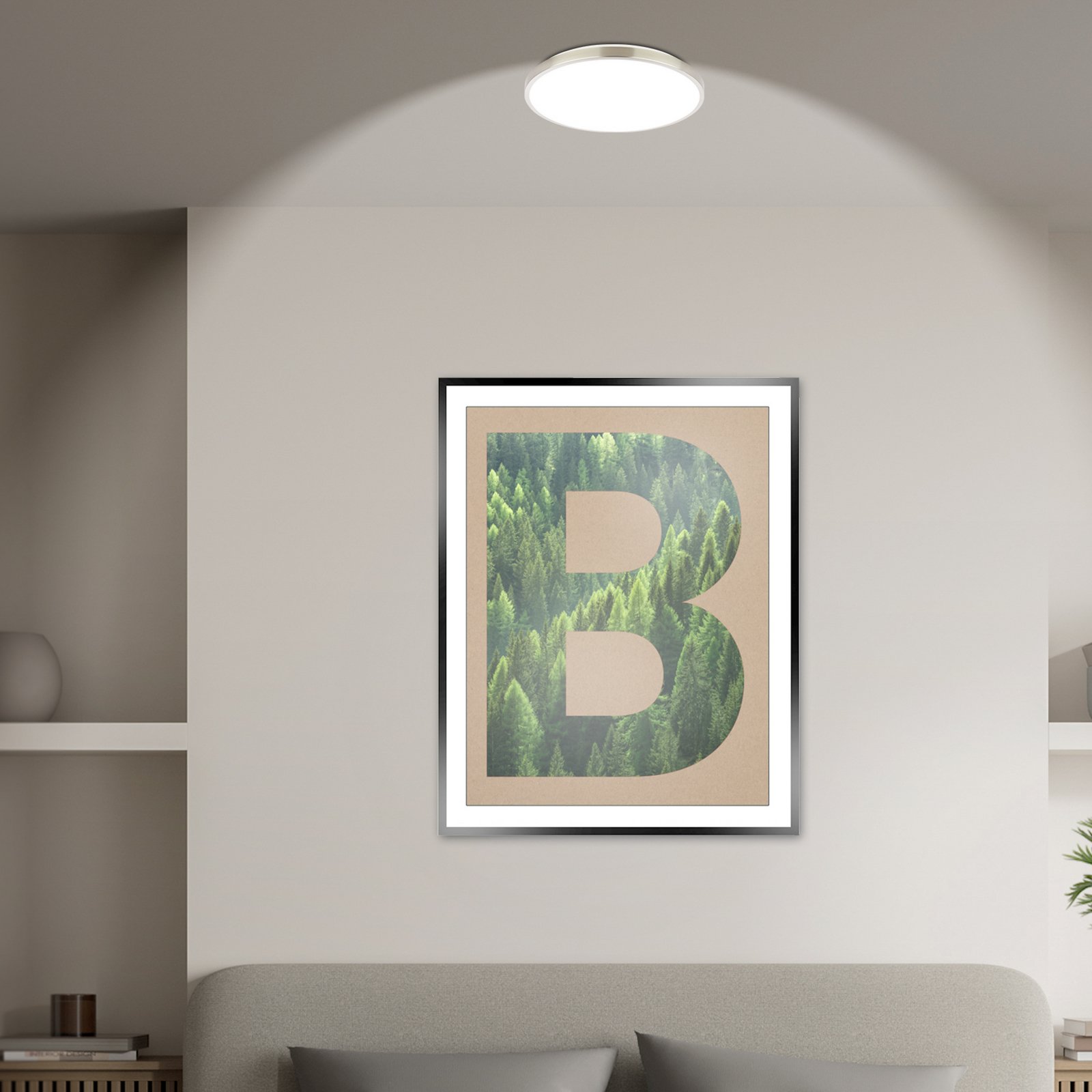 LED lubų šviestuvas „Kaida“ matinis nikelis, Ø 30 cm, EEK A, 4000 K LED lubų šviestuvas „Kaida“ matinis nikelis, Ø 30 cm, EEK A, 4000 K