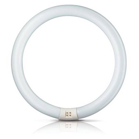 G10q 32W 840 fluorescent ring Master Circular TL-E