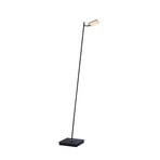 Mira LED-Stehleuchte, black pearl, Fernbedienung - PURE