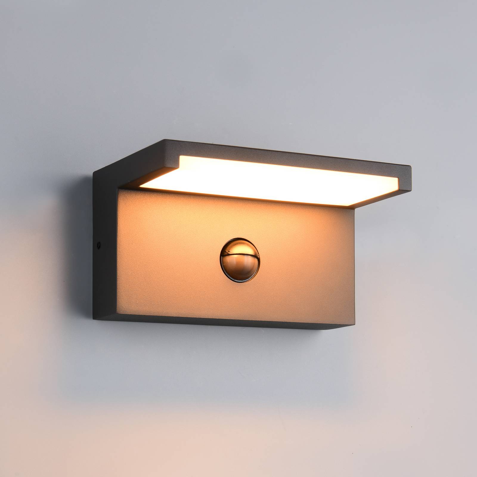 Trio Lighting Applique d'extérieur LED Ravi, anthracite Largeur 18 cm Capteur, IP54