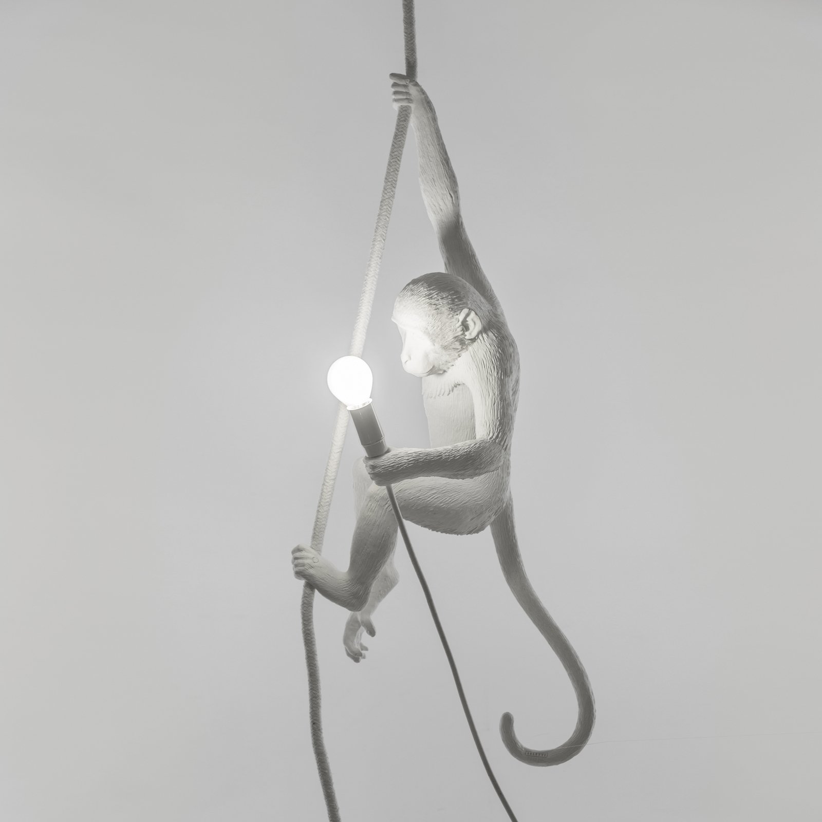 LED decoratie-hanglamp Monkey Lamp, wit, hangend
