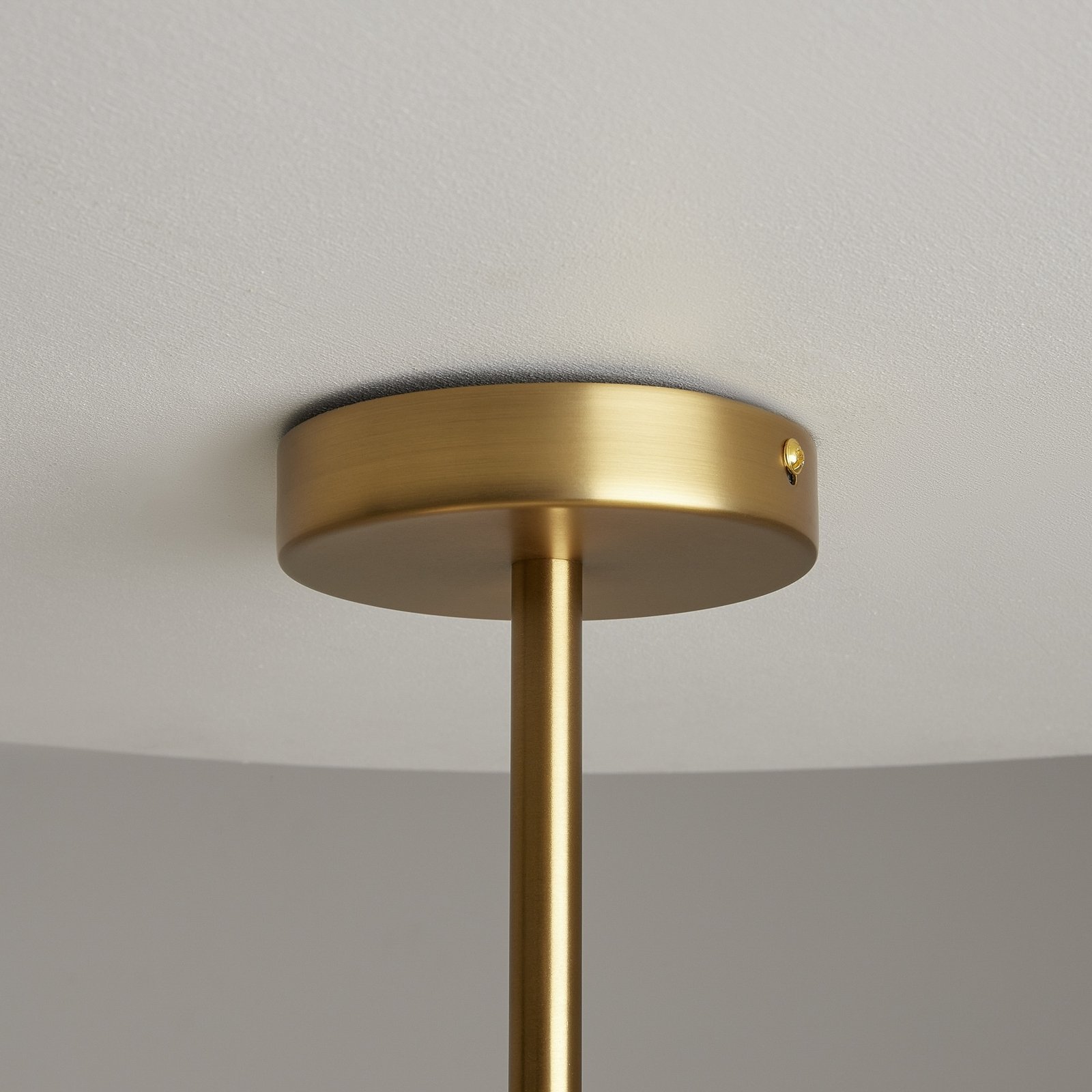 Maytoni Tropic ceiling light, brass, 6-bulb, width 78 cm