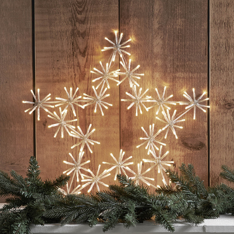 LED sfeerlamp Flower Star voor buiten