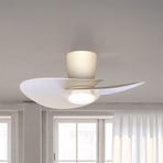 LED-Deckenventilator Nenufar, weiß, DC, leise, CCT, 74 cm