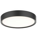 Universal LED Plafonieră Ø43 Black - Halo Design