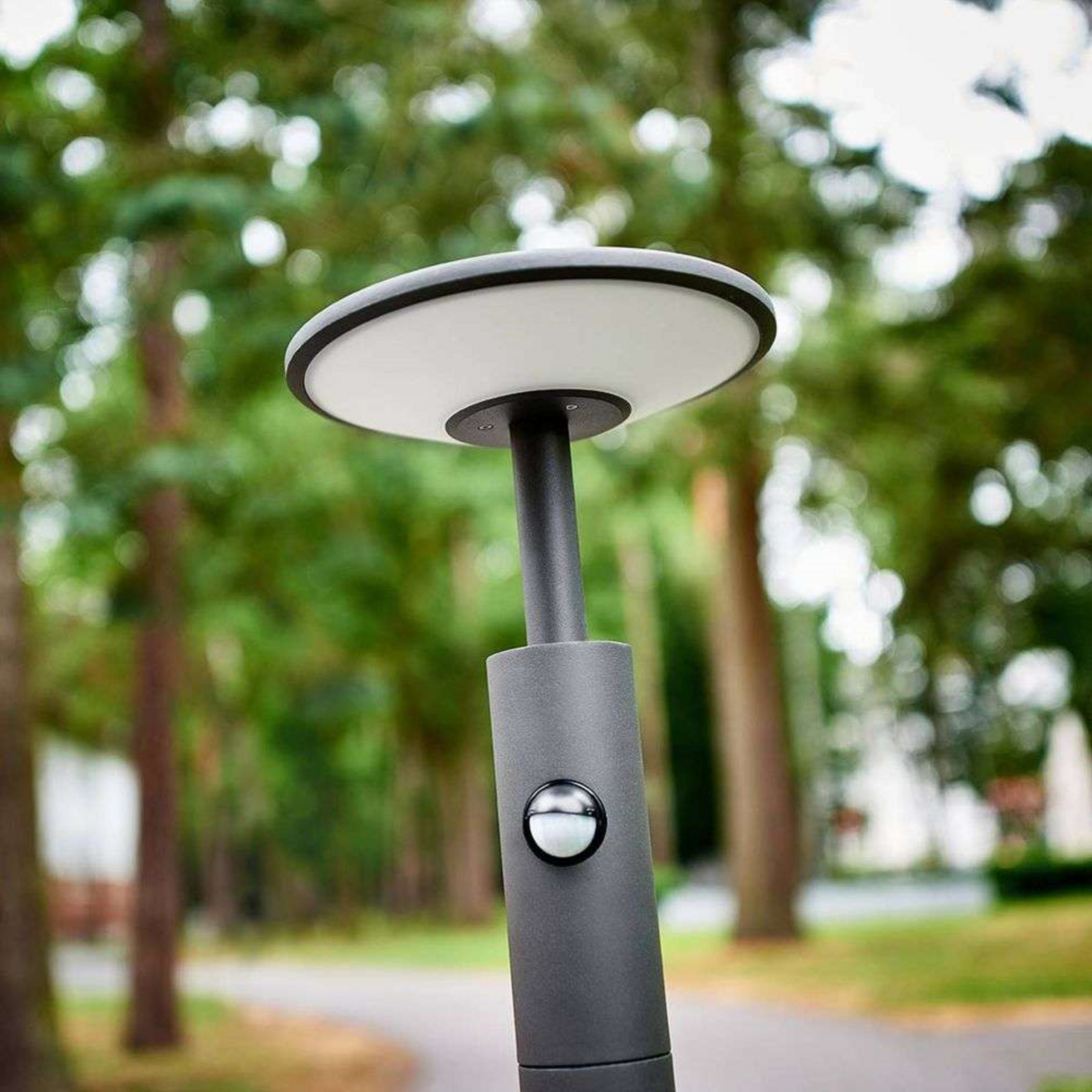 Fenia Buiten Tuinlamp w/Sensor Anthracite/Opal - Lucande