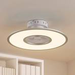 Starluna LED ceiling fan Romea, round, DC, quiet, 60 cm