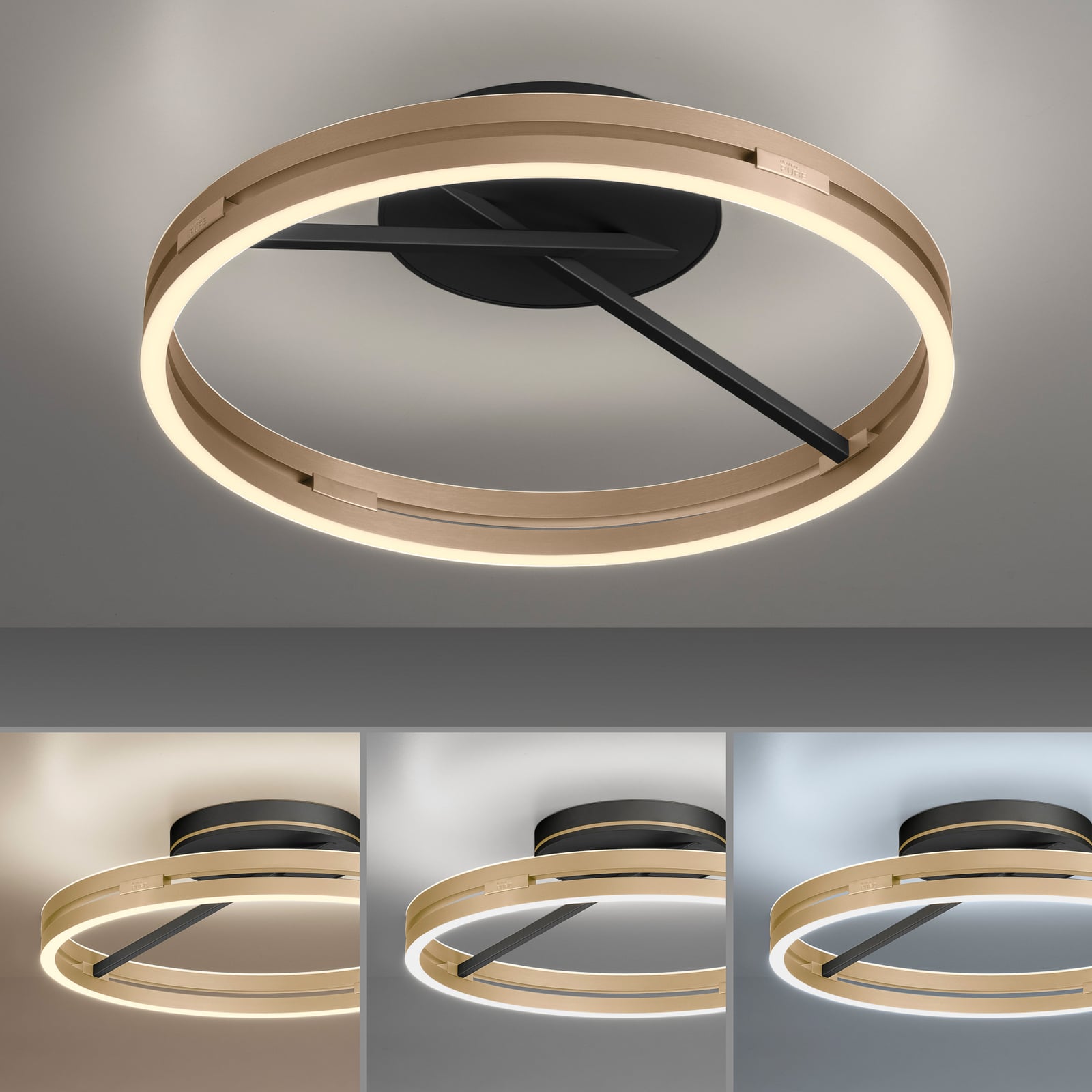 Loop LED-Deckenlampe, black/ivory gold, Ø 60 cm, CCT - PURE Loop LED-Deckenlampe, black/ivory gold, Ø 60 cm, CCT - PURE