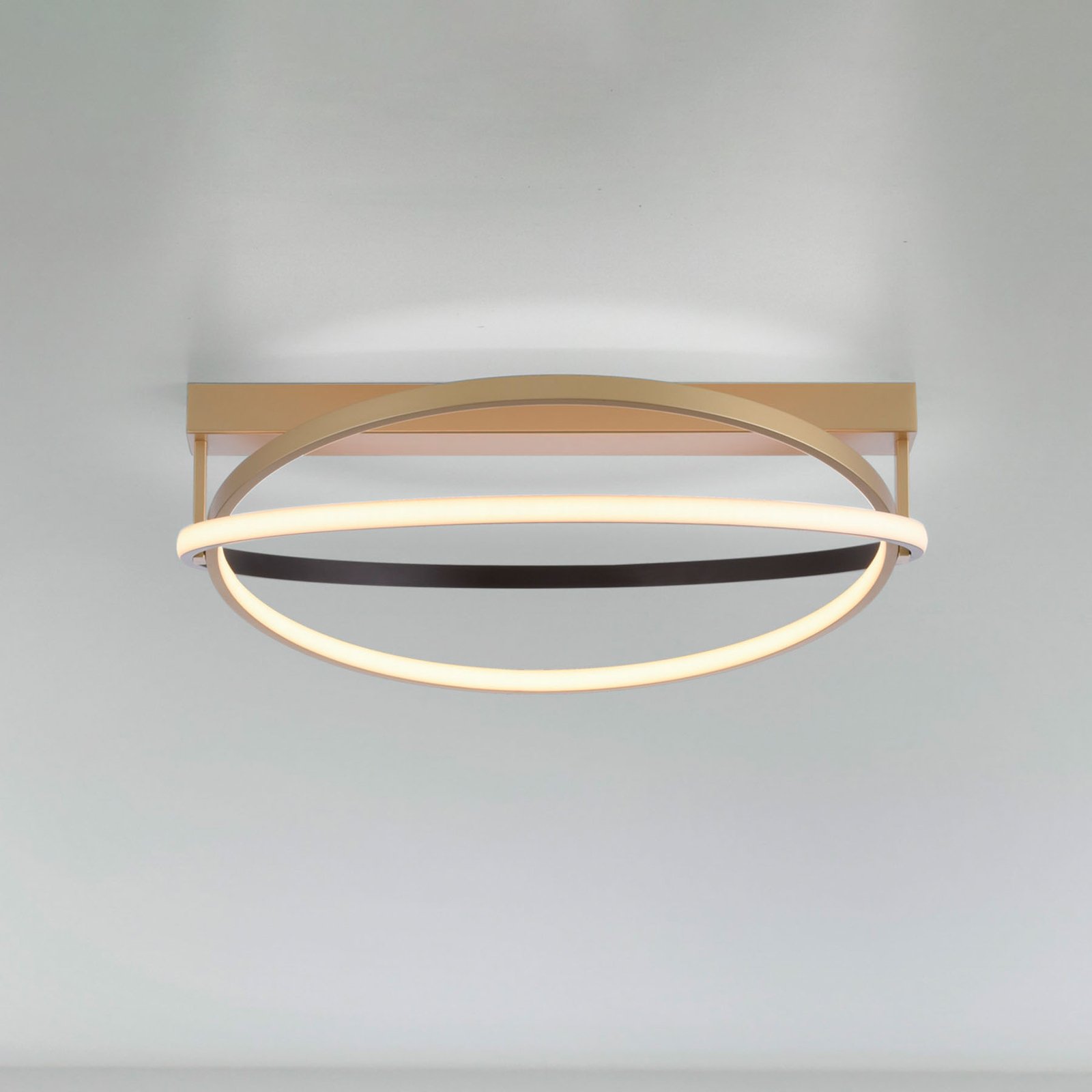 Paul Neuhaus Q-Beluga plafoniera LED, ottone