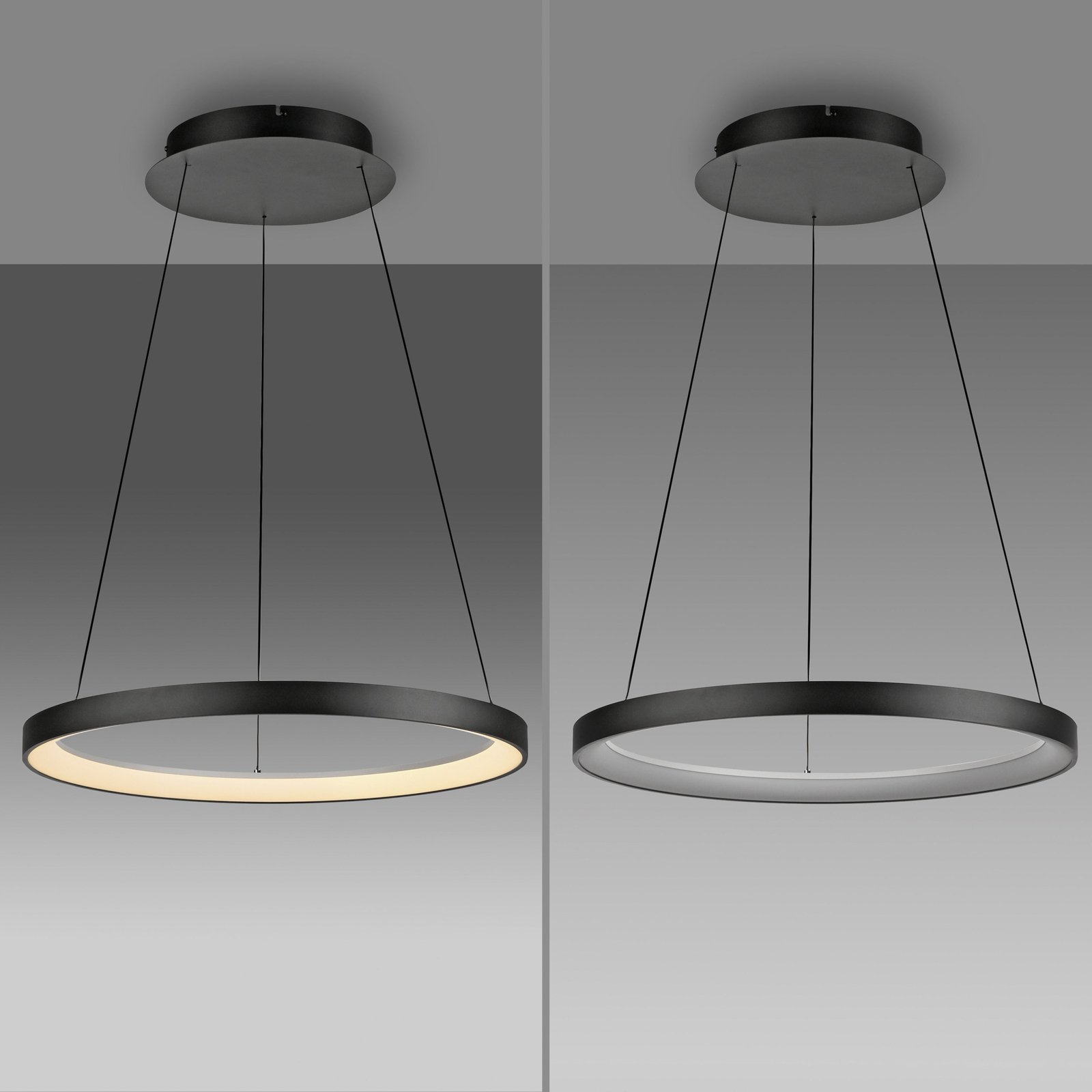 Paul Neuhaus Suspension LED Hoop, noir, Ø 57 cm, intensité variable