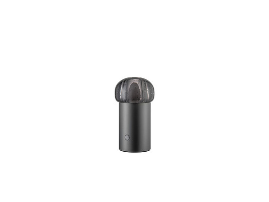 Iris Mobile LED Lampada da Tavolo Gun Metal - Blomus