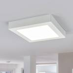 Marlo LED ceiling lamp white 4000K angular 23.1 cm
