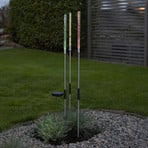 LED solarlamp Bubbly per set van 3, meerkleurig