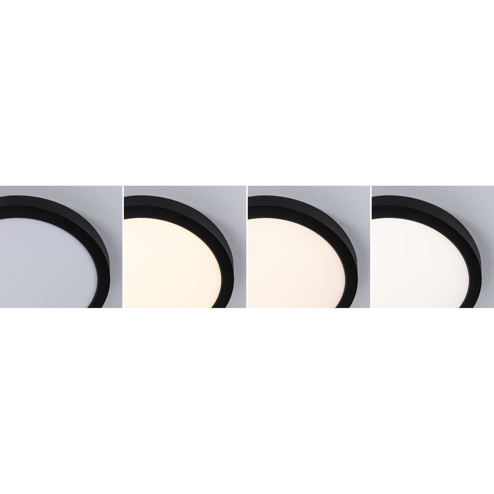 LED stropní svítidlo Paulmann Abia 2, Ø 30 cm, černé, CCT LED stropní svítidlo Paulmann Abia 2, Ø 30 cm, černé, CCT