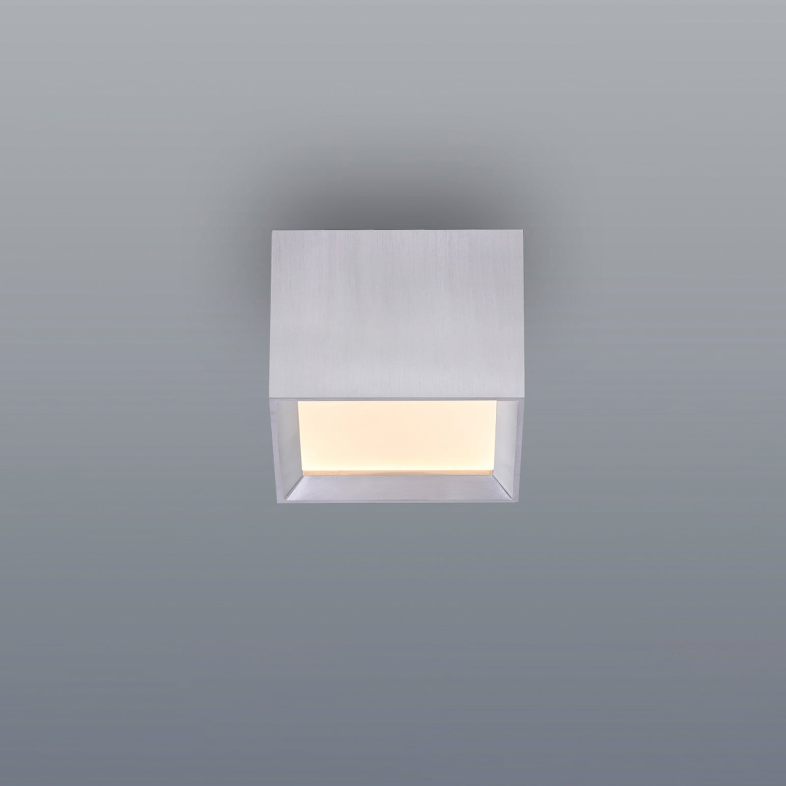 LED-stropna svetilka PURE Manhatten, stone, 1-žarilna, CCT