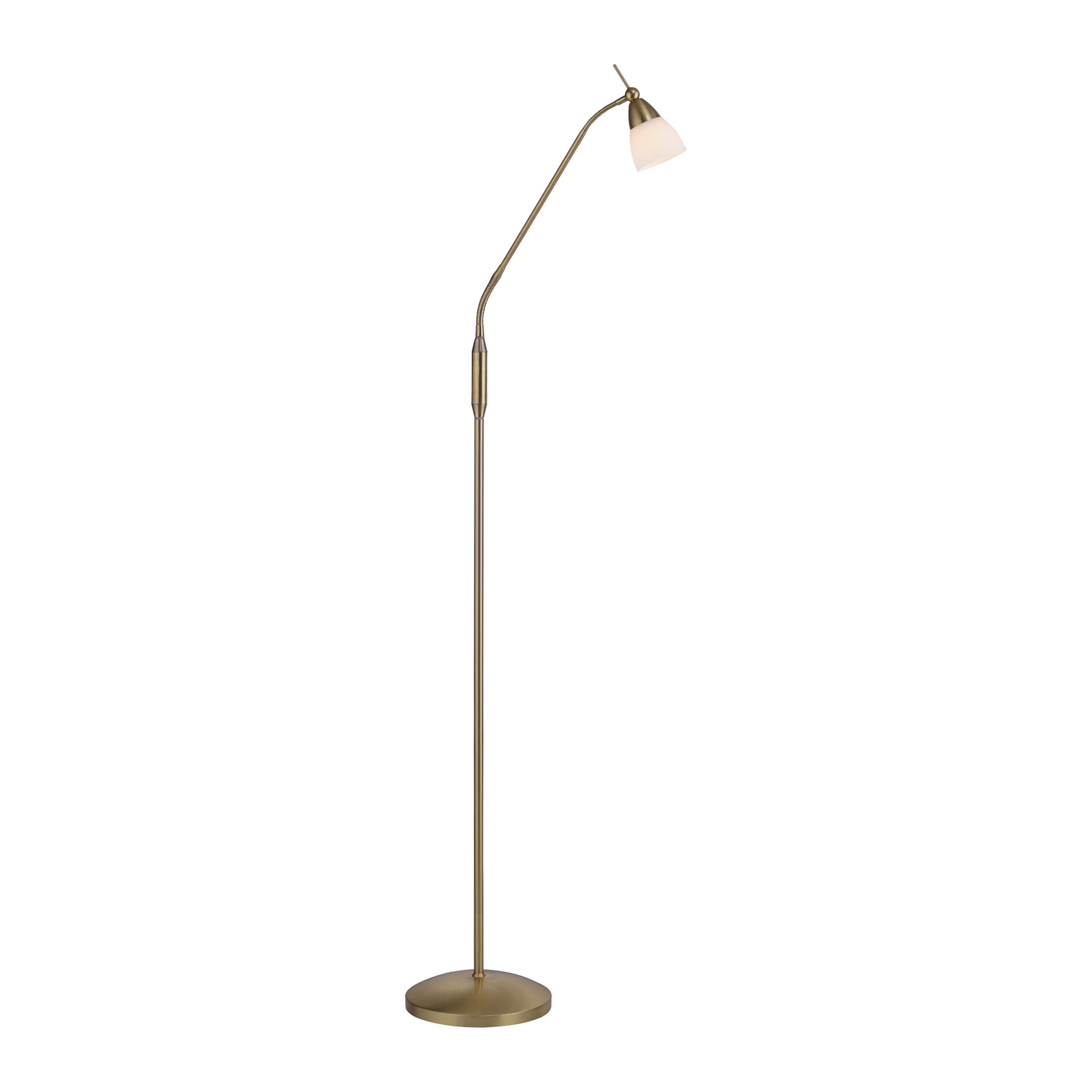 Paul Neuhaus Pino, ottone antico, 163 cm, dimmerabile