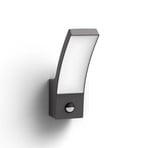 Philips Splay LED light anthracite sensor 4,000 K