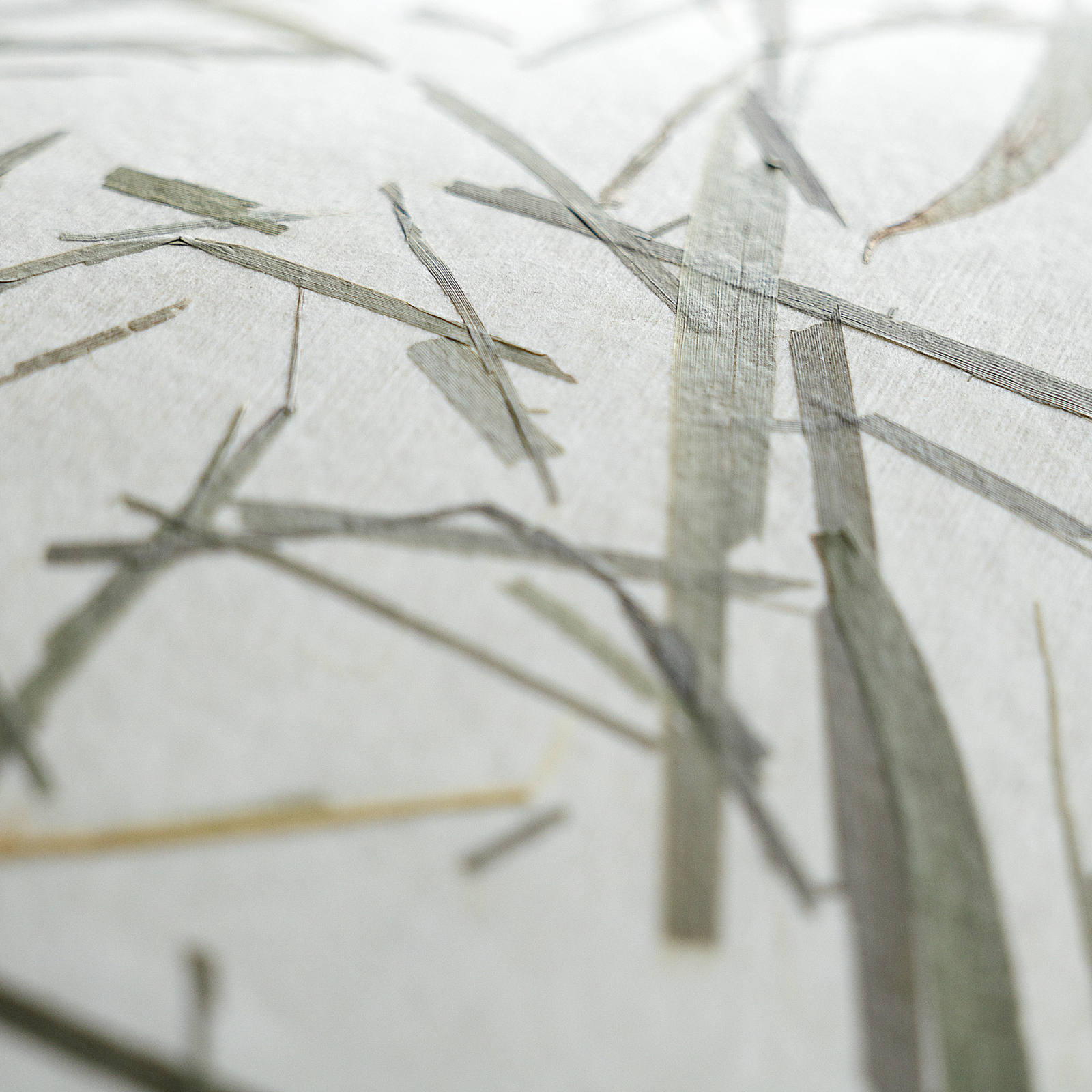 Plafonieră Oxpark, Ø 42 cm, verde/alb/negru, material textil