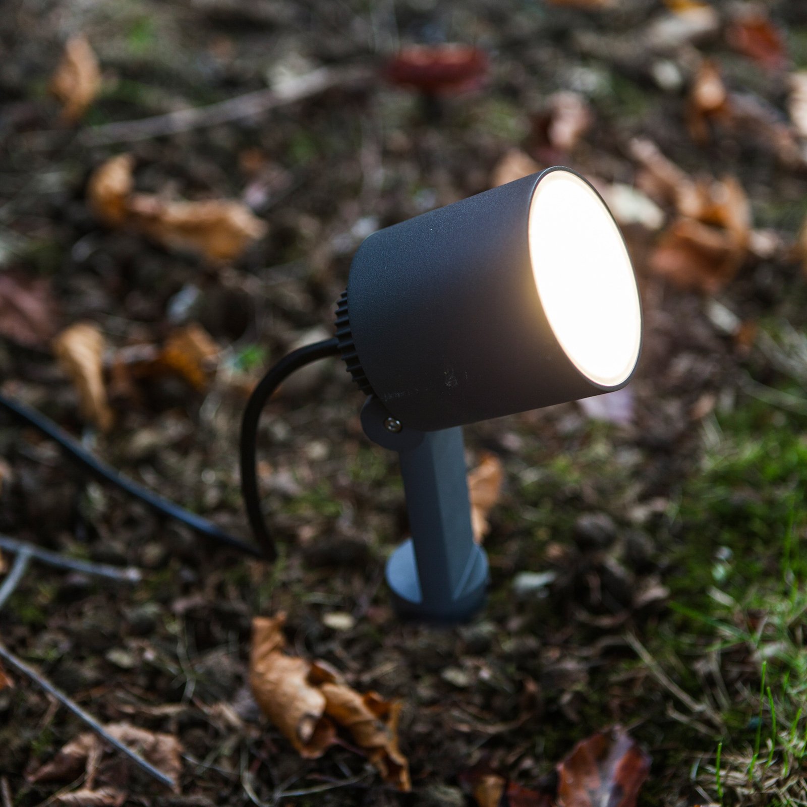 Explorer LED-lampe med jordspyd med spothoved