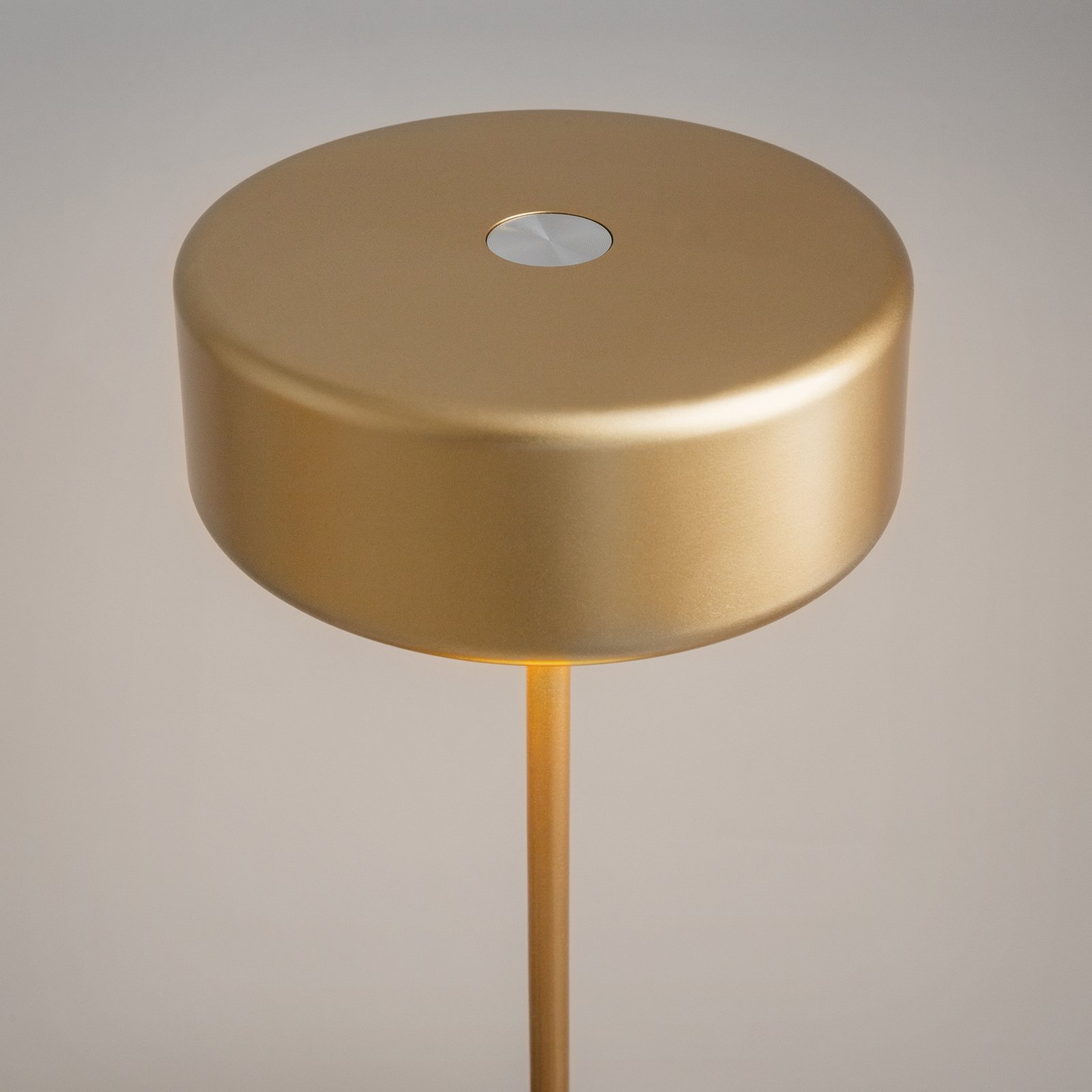 Maytoni LED rechargeable table lamp AI Collaboration, aluminium, gold