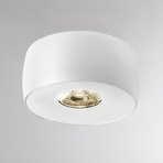 Molto Luce Vibo SD LED ceiling light 4000K