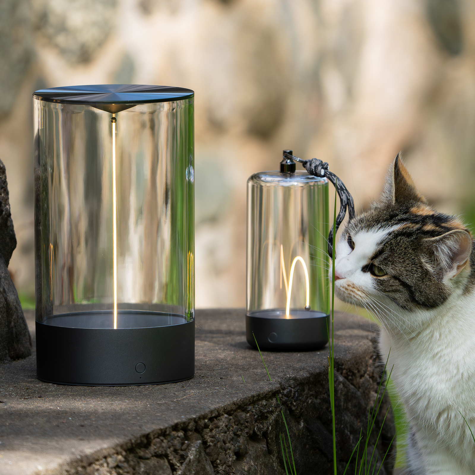 LED tafellamp Edison, hoogte 15 cm, grijs/helder, IP54 LED tafellamp Edison, hoogte 15 cm, grijs/helder, IP54