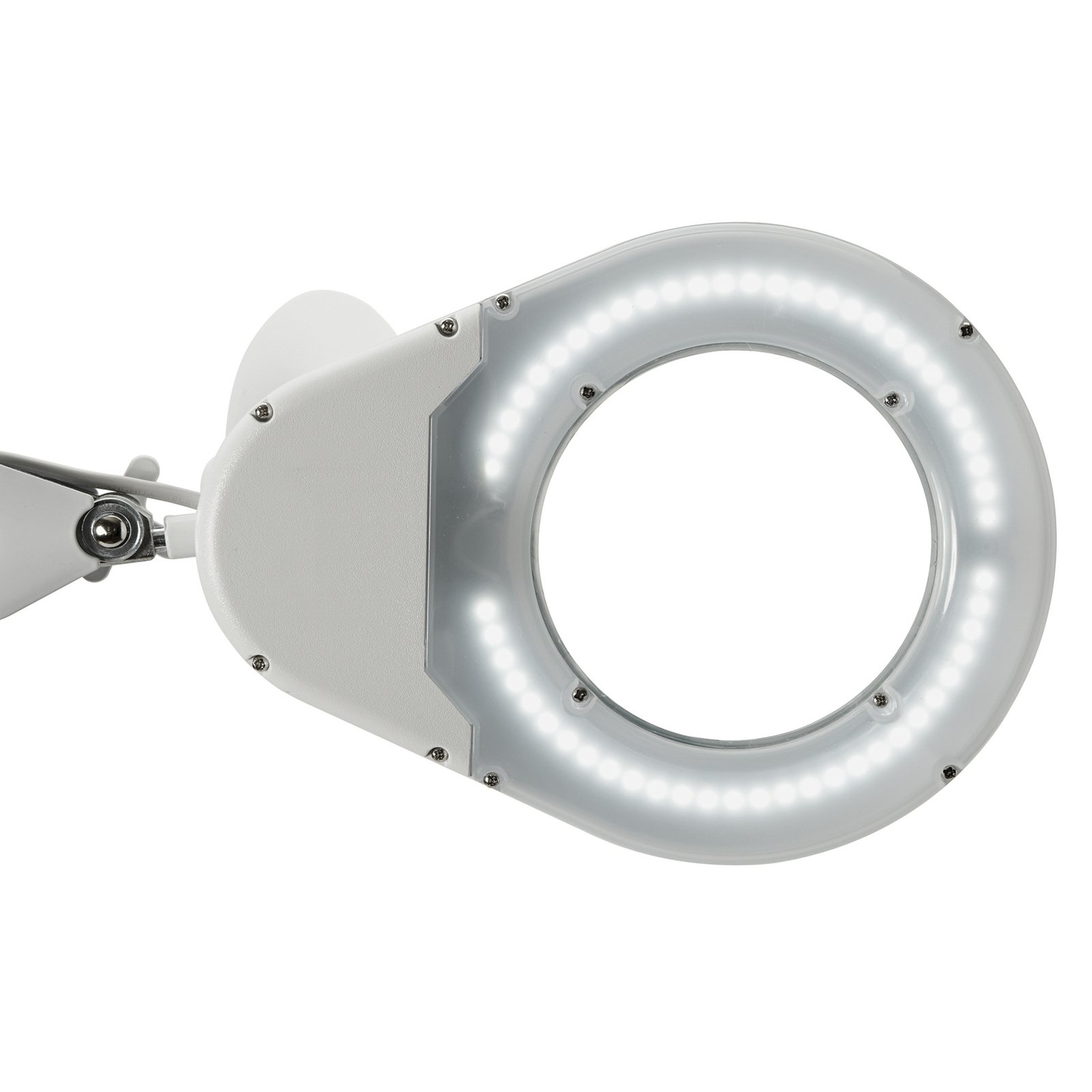 MAULviso LED-forstørrelseslampe med klemme, hvit