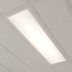 Arcchio Nesley panel LED, 120 cm, 4.000 K, blanco