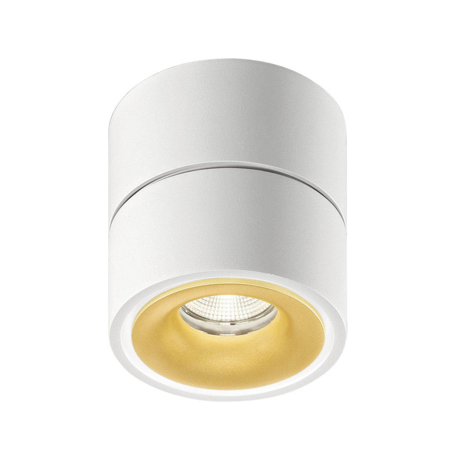 Egger Licht Egger Clippo S LED-takspotlight vit guld