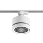 Nivo Schienenadapter, weiß, 3-Phasen, Metall - Sigor