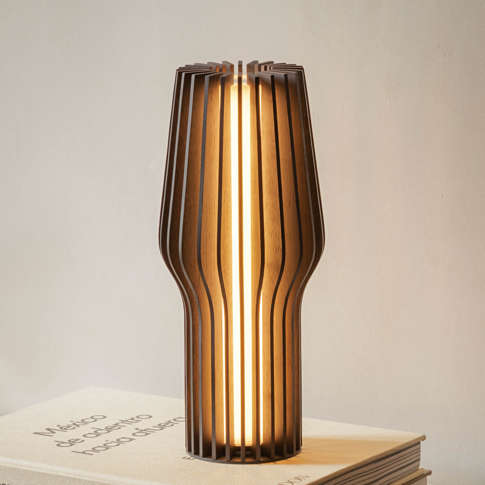 EVA Solo Radiant LED-Akku-Tischlampe schmal dunkel