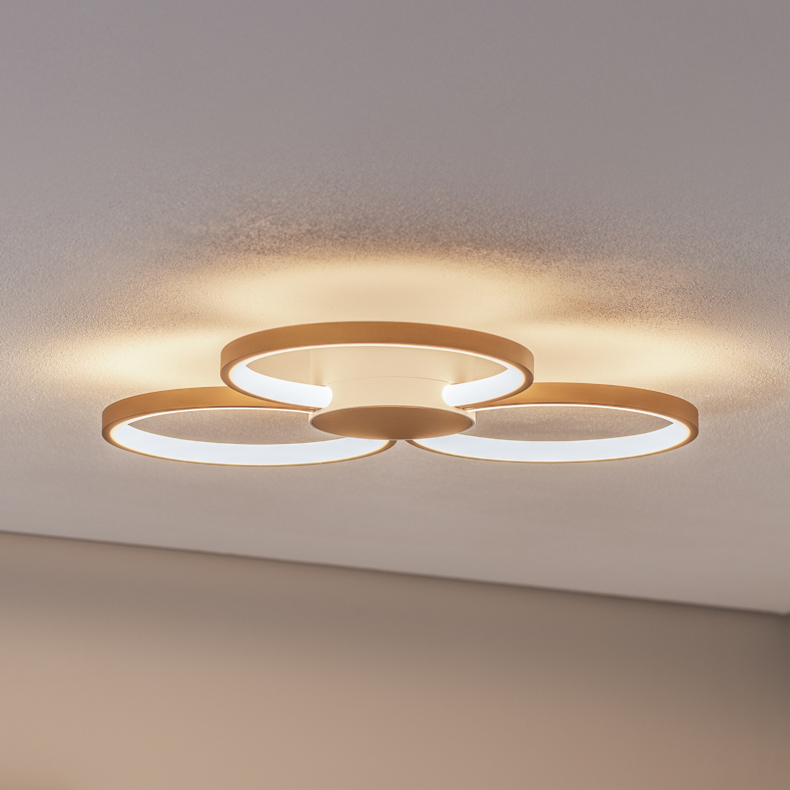 Plafonnier LED BEGA 51299.4, laiton velouté, métal, DALI