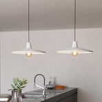 Miniere pendant light, 2-bulb