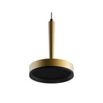 LOOM DESIGN LED-Pendelleuchte Nyx P1, messing, Aluminium