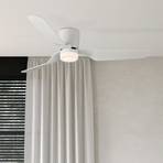 Brisa LED ceiling fan, remote control, 3,000 K