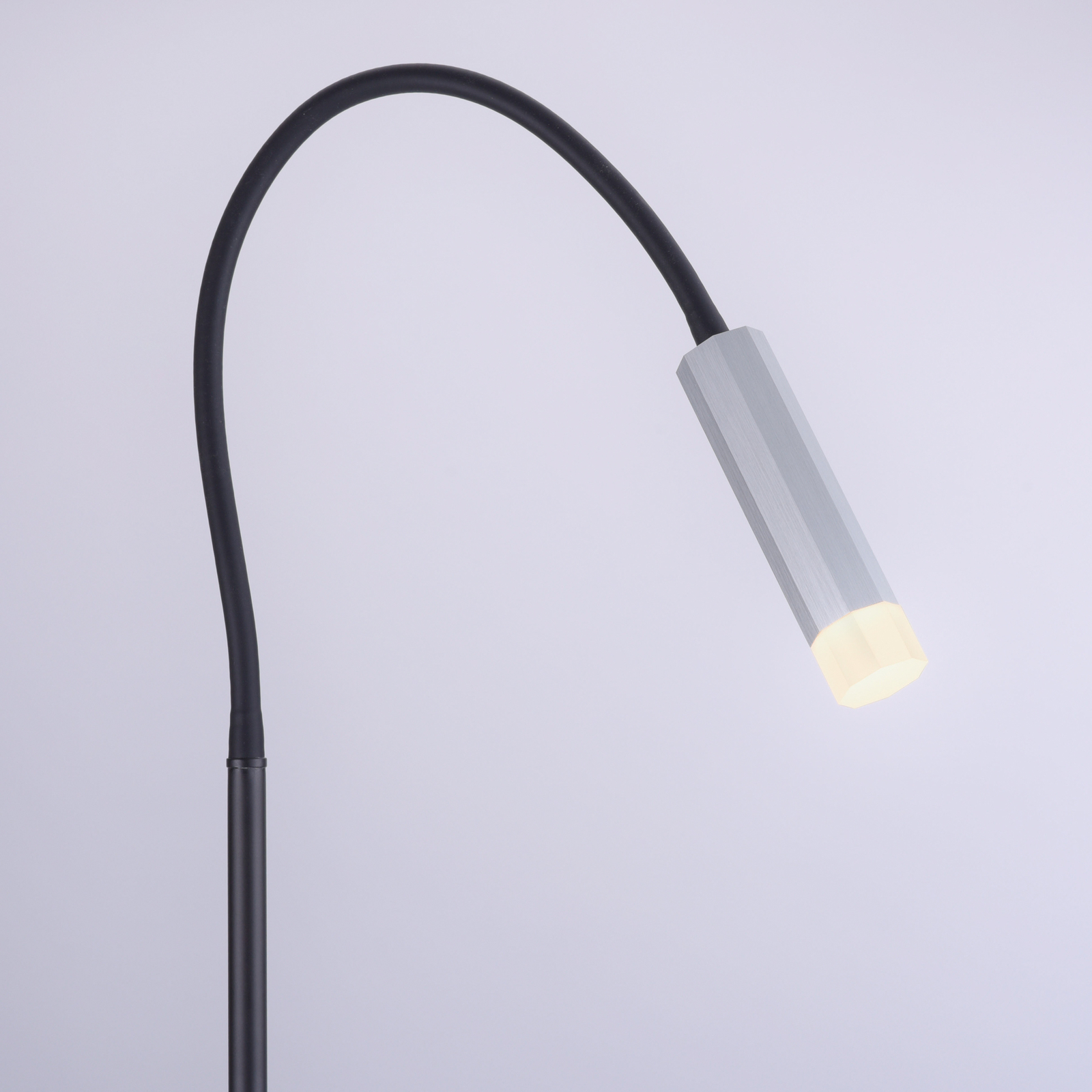 Paul Neuhaus Pure-Gemin stojaca LED lampa striebro