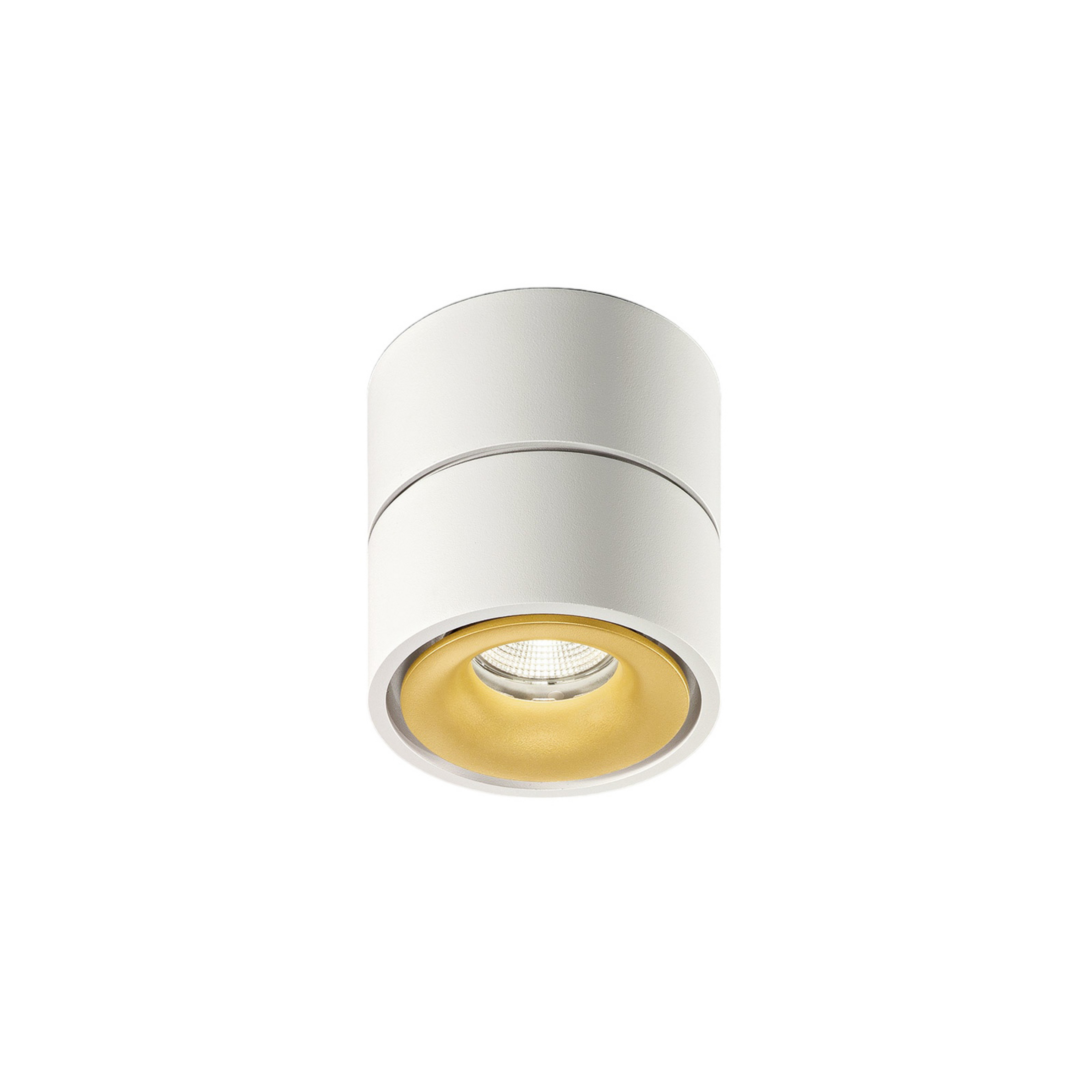 Egger DLS Spot pour plafond LED Clippo, dim-to-warm, blanc/or