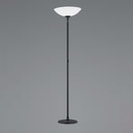 BANKAMP Opera LED uplighter floor lamp, black