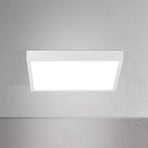 LED ceiling lamp Disc, white, length 24 cm, CCT, metal