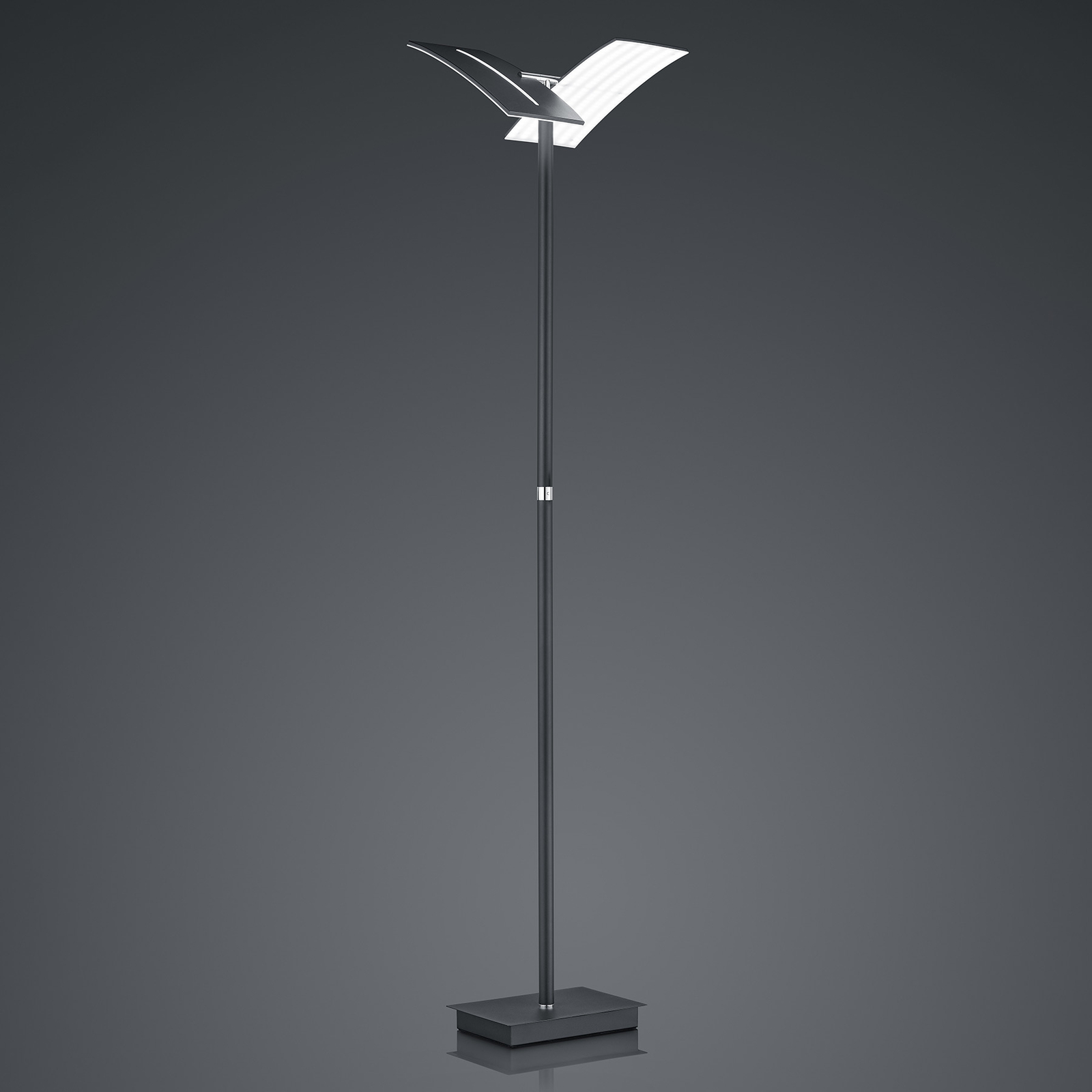 LED stojacia lampa Dual CCT, stmievateľná, čierna
