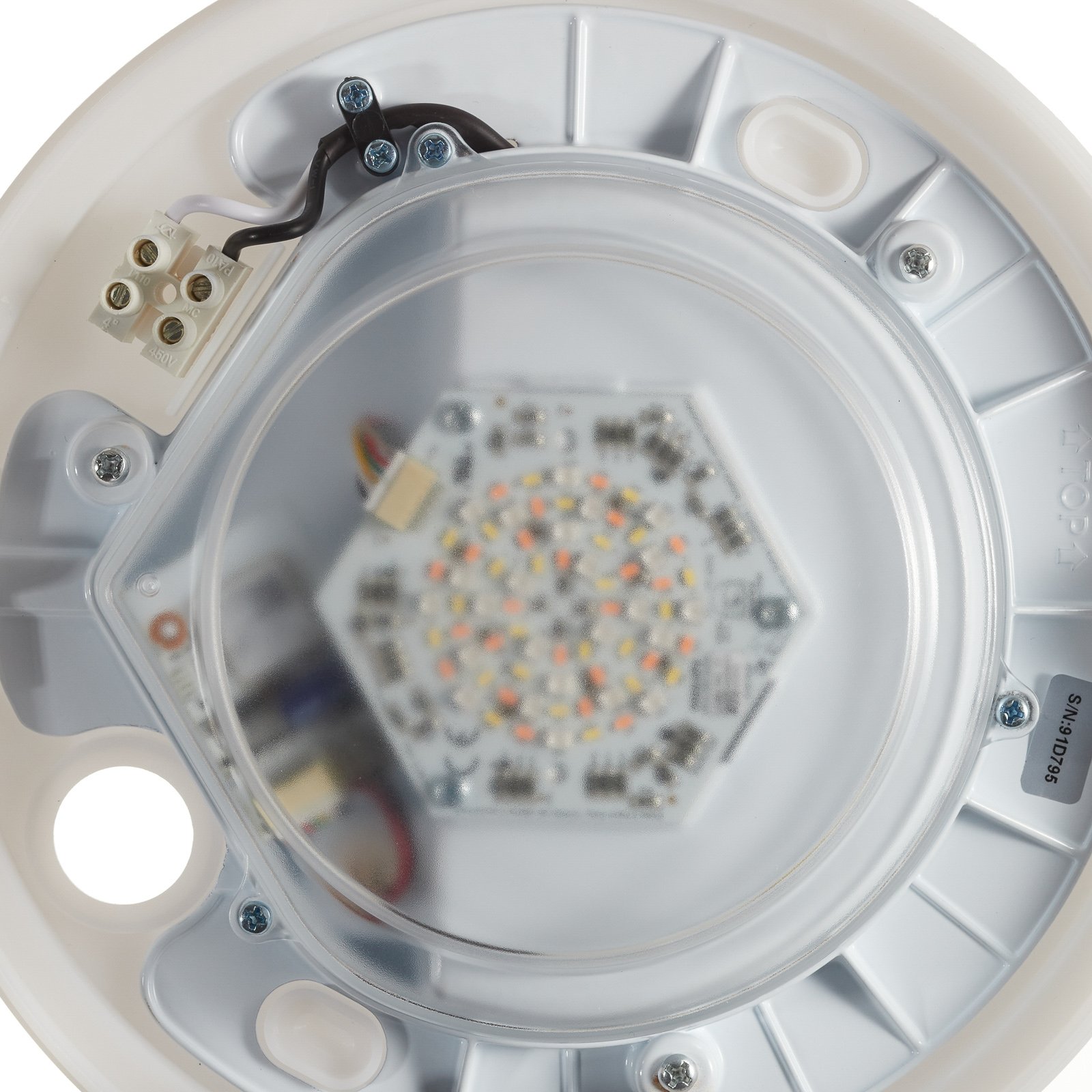Daylo Außen Wandleuchte White/Color Amb. Black - Philips Hue