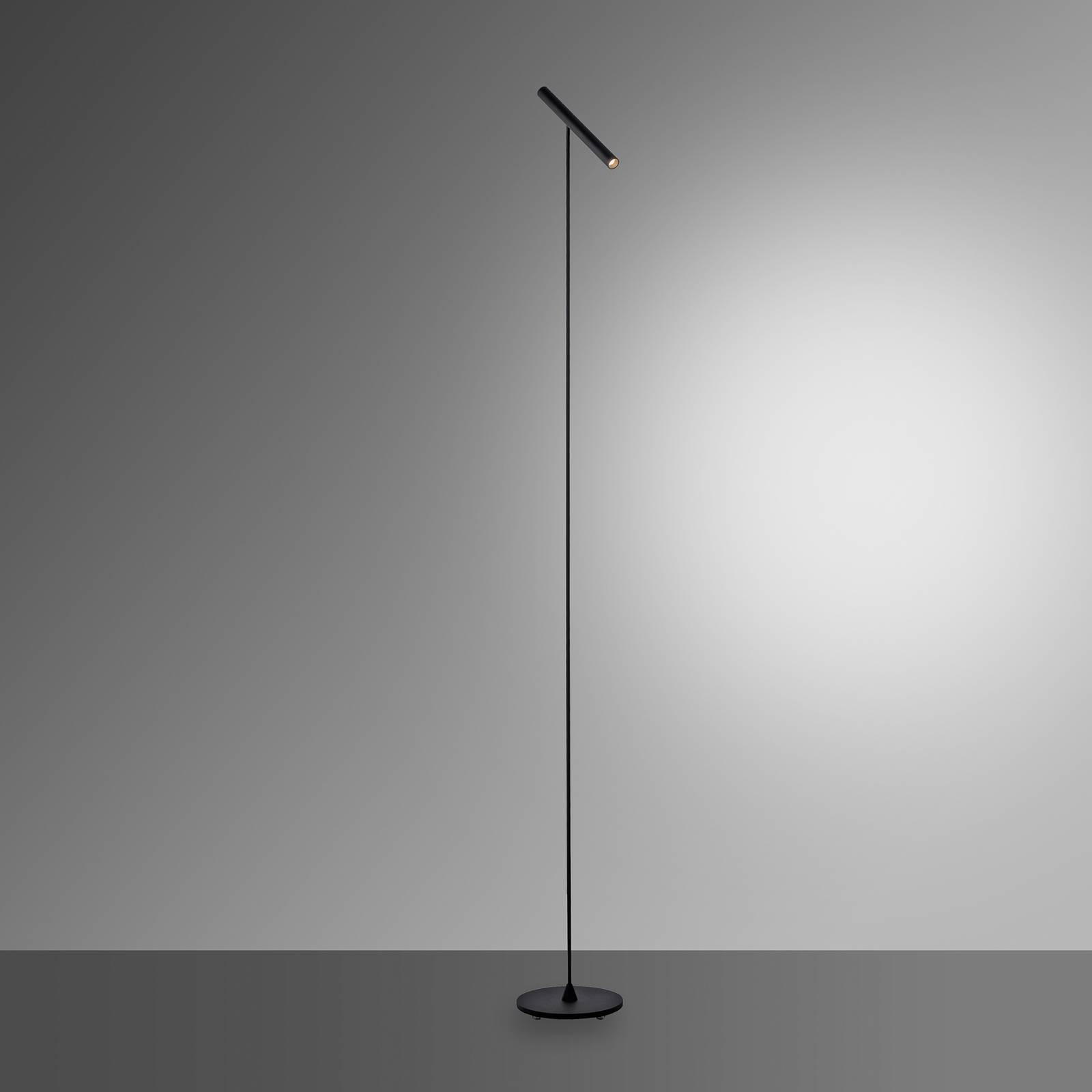 PURE Tutua lampa stojąca LED, ściemniacz, czarna