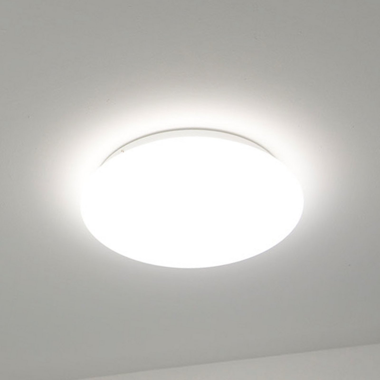 DOTLUX LED senzorska stropna svjetiljka LUNA bijela Ø 33cm PMMA CCT IP44