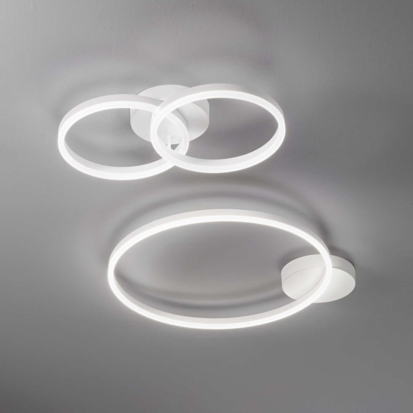 Giotto LED ceiling light, two-bulb, white